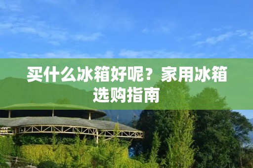 买什么冰箱好呢？家用冰箱选购指南