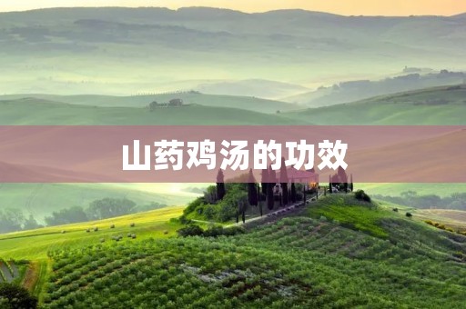 山药鸡汤的功效