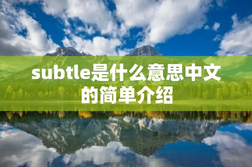 subtle是什么意思中文的简单介绍 subtle是什么意思中文的简单介绍