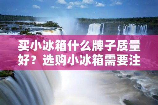买小冰箱什么牌子质量好?选购小冰箱需要注意哪些要点? 买小冰箱什么牌子质量好?选购小冰箱需要注意哪些要点?