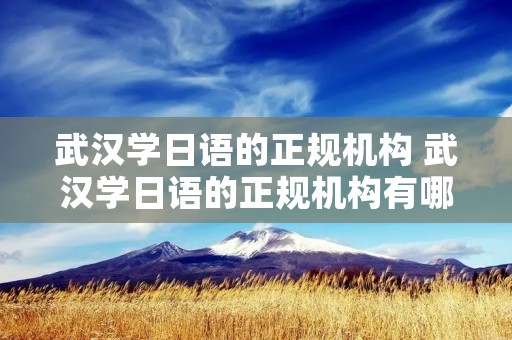 武汉学日语的正规机构 武汉学日语的正规机构有哪些