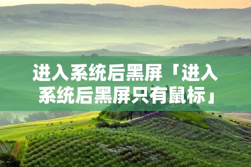 进入系统后黑屏「进入系统后黑屏只有鼠标」
