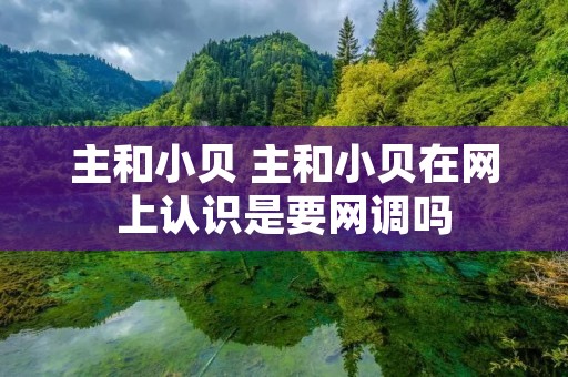 主和小贝 主和小贝在网上认识是要网调吗 主和小贝 主和小贝在网上认识是要网调吗