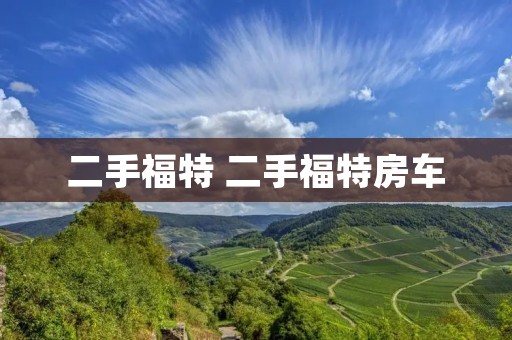 二手福特 二手福特房车 二手福特 二手福特房车