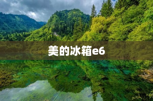 美的冰箱e6：是否存在严重问题？