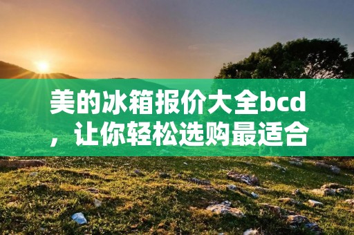 美的冰箱报价大全bcd,让你轻松选购最适合的冰箱 美的冰箱报价大全bcd,让你轻松选购最适合的冰箱