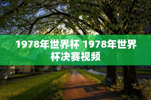 1978年世界杯 1978年世界杯决赛视频 1978年世界杯 1978年世界杯决赛视频