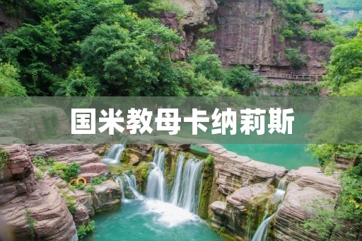 国米教母卡纳莉斯:一位传奇的足球教练 国米教母卡纳莉斯:一位传奇的足球教练