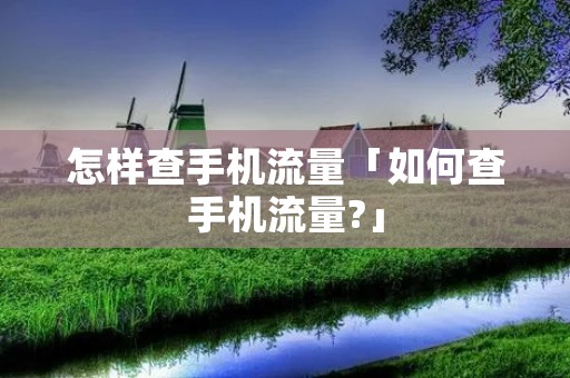 怎样查手机流量「如何查手机流量?」