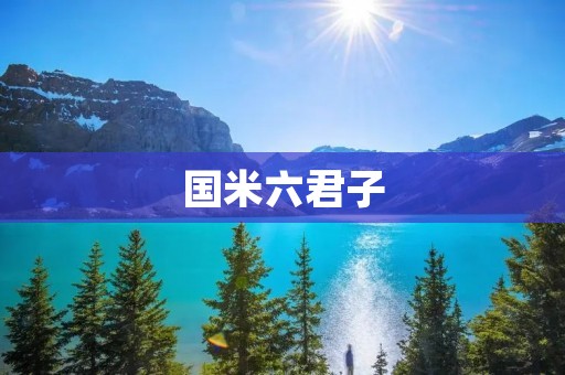 国米六君子：荣耀与传奇的交织