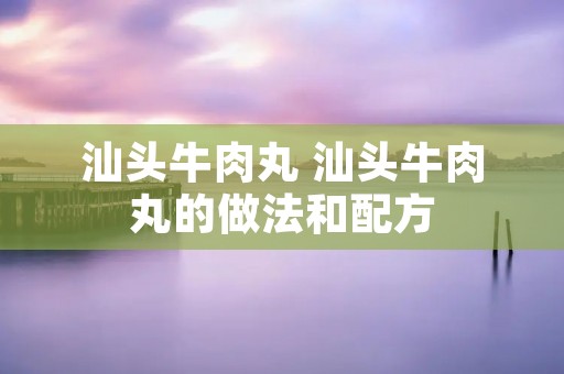 汕头牛肉丸 汕头牛肉丸的做法和配方