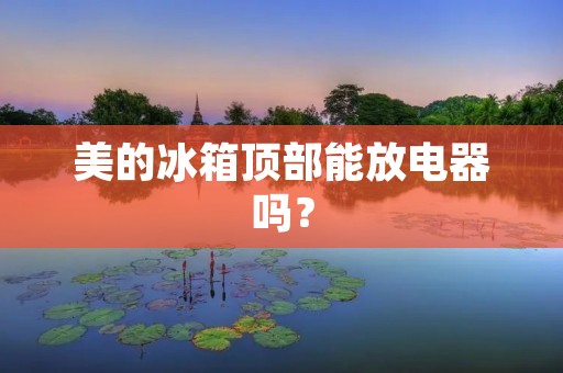 美的冰箱顶部能放电器吗? 美的冰箱顶部能放电器吗?