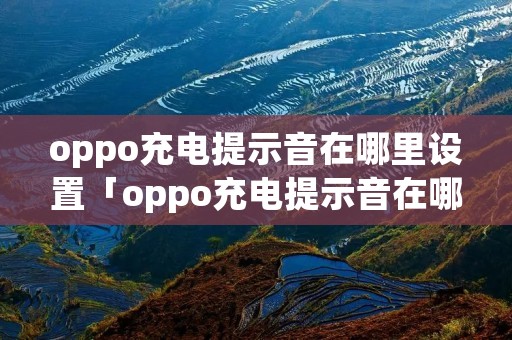 oppo充电提示音在哪里设置「oppo充电提示音在哪里设置?oppo充电提示音操作教程」