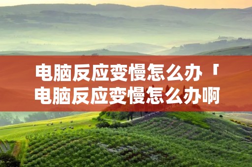 电脑反应变慢怎么办「电脑反应变慢怎么办啊」
