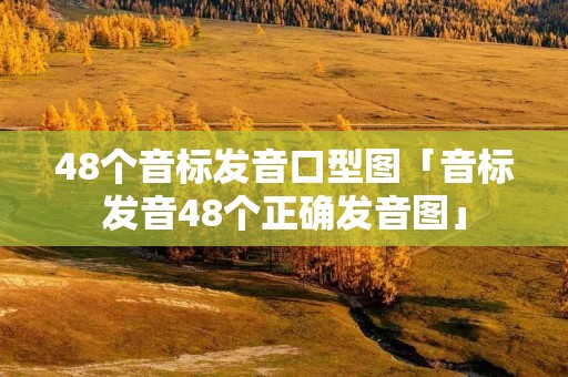 48个音标发音口型图「音标发音48个正确发音图」 48个音标发音口型图「音标发音48个正确发音图」