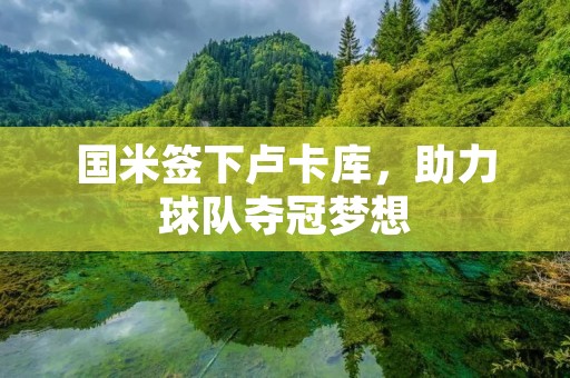 国米签下卢卡库，助力球队夺冠梦想