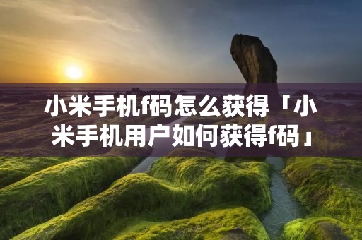 小米手机f码怎么获得「小米手机用户如何获得f码」