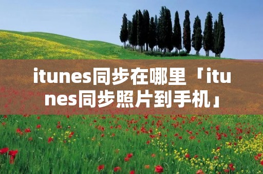 itunes同步在哪里「itunes同步照片到手机」