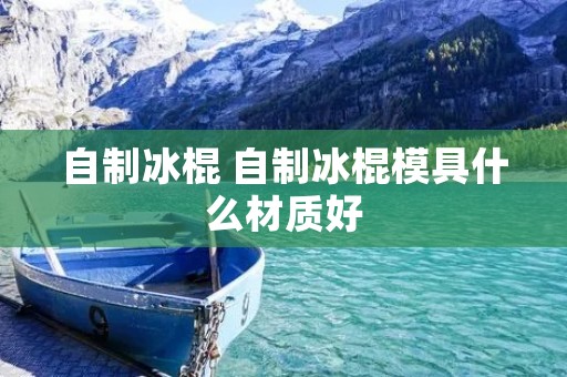 自制冰棍 自制冰棍模具什么材质好