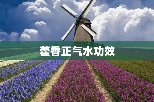 藿香正气水功效:清热解毒,舒缓不适