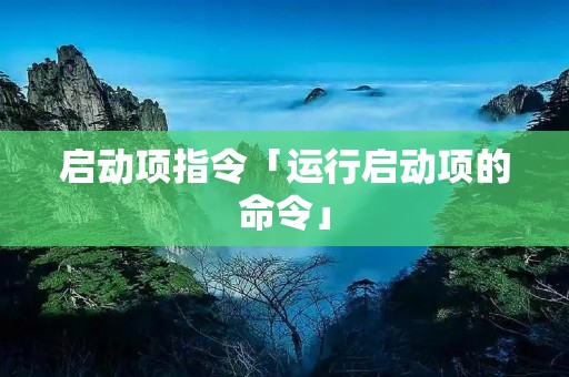 启动项指令「运行启动项的命令」