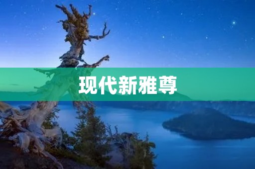 现代新雅尊：独具特色的豪华座驾