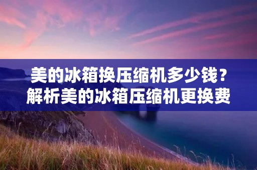 美的冰箱换压缩机多少钱?解析美的冰箱压缩机更换费用 美的冰箱换压缩机多少钱?解析美的冰箱压缩机更换费用