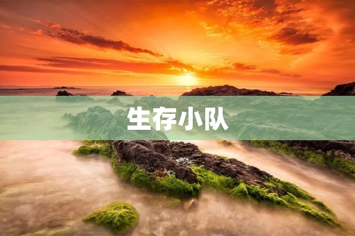 生存小队:团结合作,共同生存之道 生存小队:团结合作,共同生存之道