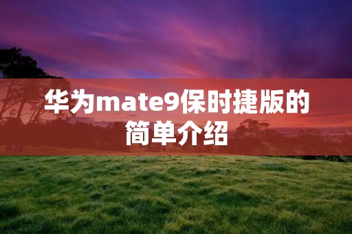 华为mate9保时捷版的简单介绍 华为mate9保时捷版的简单介绍