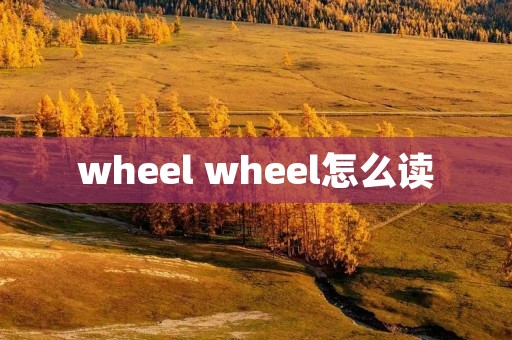 wheel wheel怎么读 wheel wheel怎么读