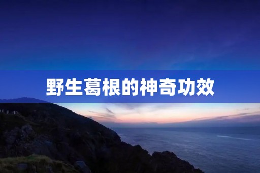 野生葛根的神奇功效