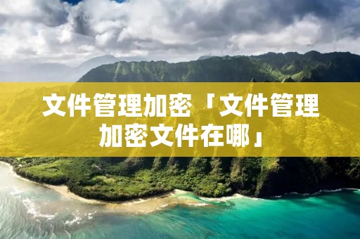 文件管理加密「文件管理加密文件在哪」