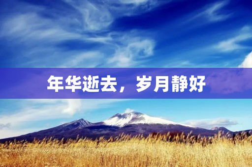 年华逝去,岁月静好