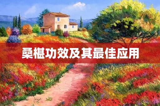 桑椹功效及其最佳应用 桑椹功效及其最佳应用