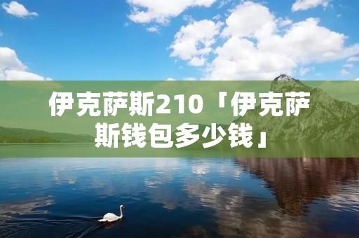 伊克萨斯210「伊克萨斯钱包多少钱」