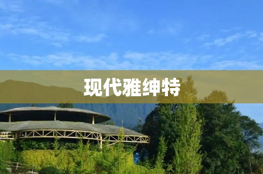 现代雅绅特:重新定义现代豪华生活方式 现代雅绅特:重新定义现代豪华生活方式