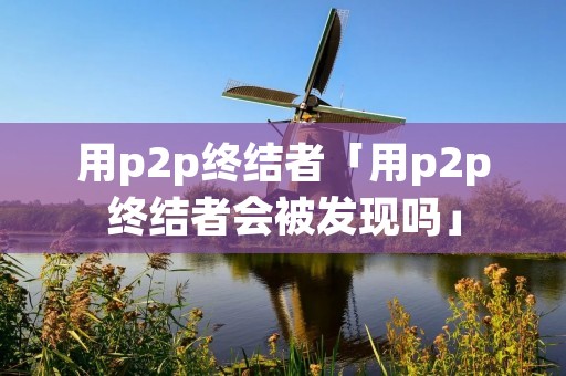 用p2p终结者「用p2p终结者会被发现吗」