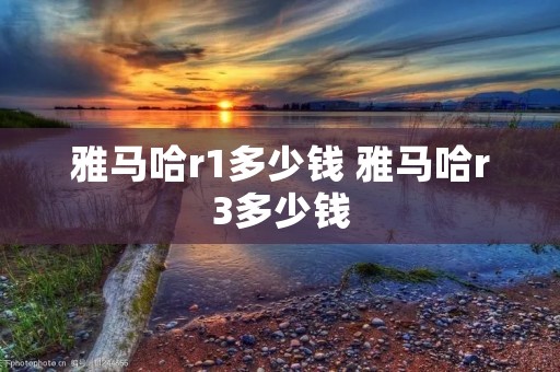雅马哈r1多少钱 雅马哈r3多少钱
