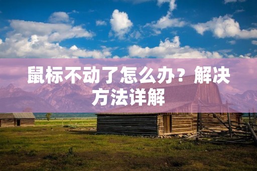 鼠标不动了怎么办？解决方法详解
