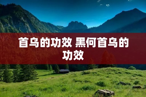首乌的功效 黑何首乌的功效