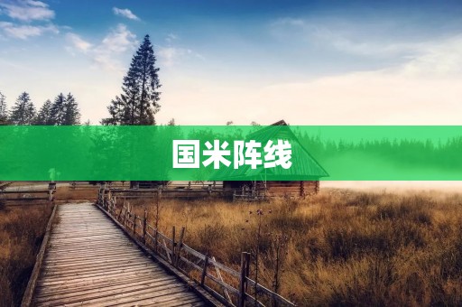 国米阵线：意大利足球的辉煌之光