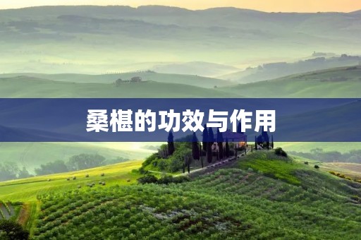 桑椹的功效与作用：解读这颗小小果实的奇妙之处