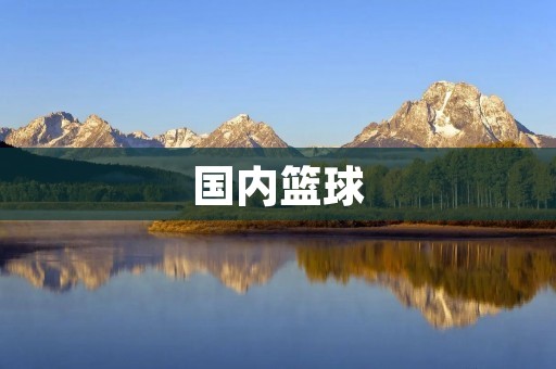 国内篮球:探索中国式篮球发展之路 国内篮球:探索中国式篮球发展之路
