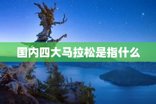 国内四大马拉松是指什么