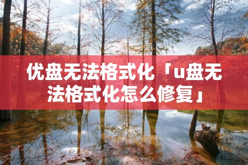 优盘无法格式化「u盘无法格式化怎么修复」