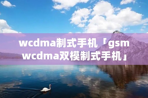 wcdma制式手机「g**wcdma双模制式手机」
