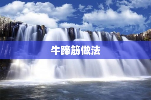 牛蹄筋做法:浓郁鲜香的美味佳肴 牛蹄筋做法:浓郁鲜香的美味佳肴