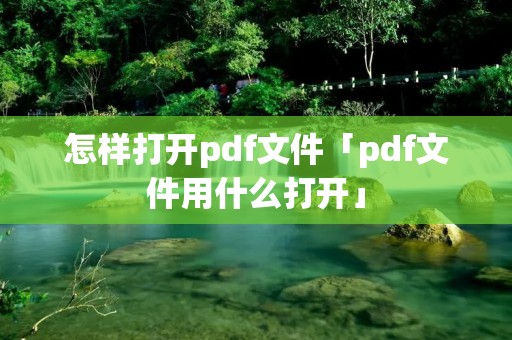 怎样打开pdf文件「pdf文件用什么打开」