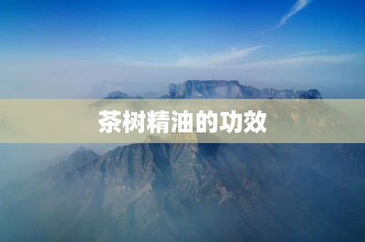 茶树精油的功效：深入了解茶树精油的多重益处
