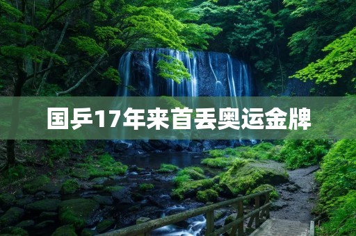 国乒17年来首丢奥运金牌:中国乒乓球队的颓势与挑战 国乒17年来首丢奥运金牌:中国乒乓球队的颓势与挑战